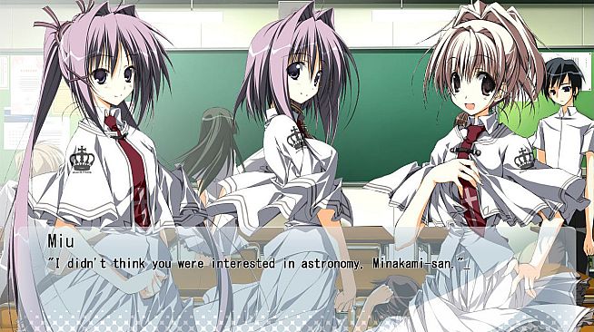 Wonderful Everyday Down the Rabbit-Hole