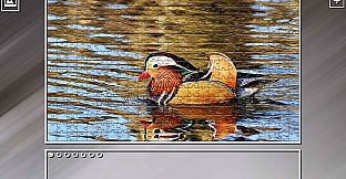 Super Jigsaw Puzzle: Generations - Birds 2