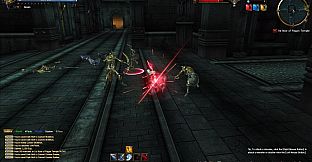 DK ONLINE - SEASON NEWBIE FREEBIE PACK