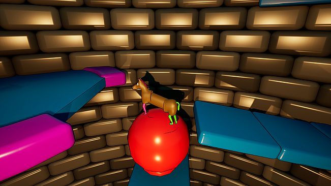 Pantomime Horse Obstacle Course