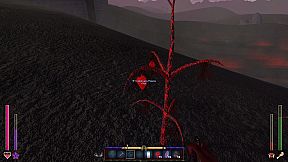 Fallen Angel: Hell Survival