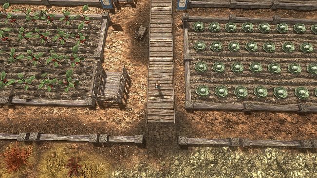 The Fable of a Rabbit