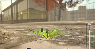 タンポポは耐える。