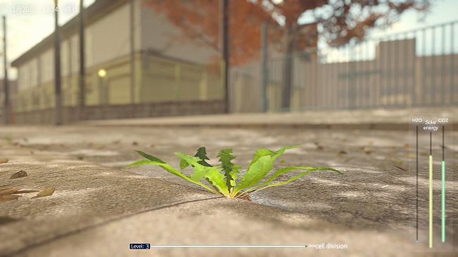 タンポポは耐える。