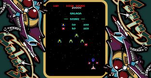 ARCADE GAME SERIES: GALAGA