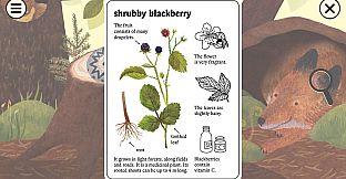 Little Mouse's Encyclopedia + Clumsy Rush