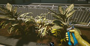 Anomalous Cleaning Detail