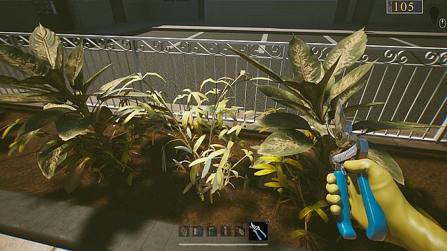 Anomalous Cleaning Detail