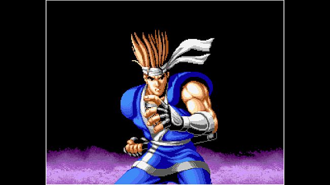 ACA NEOGEO WORLD HEROES PERFECT