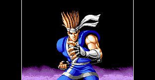 ACA NEOGEO WORLD HEROES PERFECT for Windows