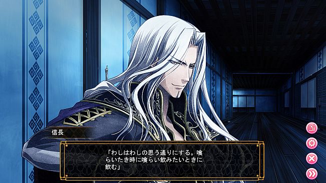 Destiny's Princess: A War Story, A Love Story