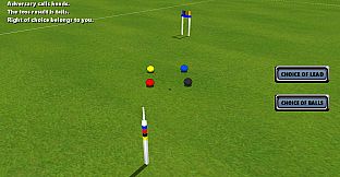 Croquet Pro 2