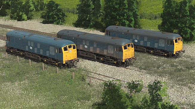 Trainz 2022 DLC - BR Class 24 - Blue & Green