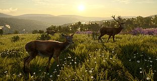 theHunter: Call of the Wild - Cuatro Colinas Game Reserve