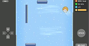 Meow Weight Loss Diary