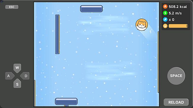 Meow Weight Loss Diary