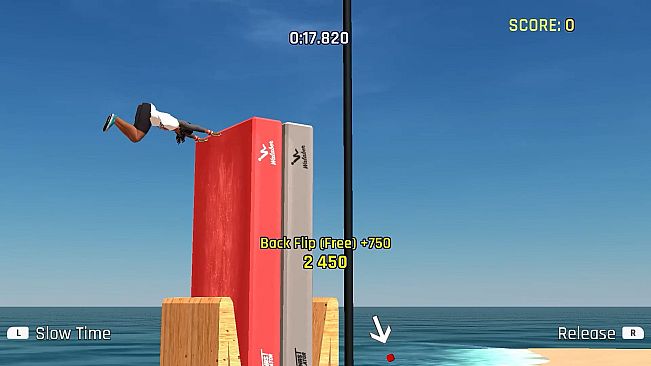 Pro Gymnast Simulator + Cyber Protocol