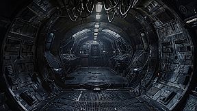 Universe Has No Favorites