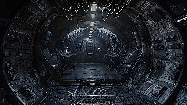 Universe Has No Favorites