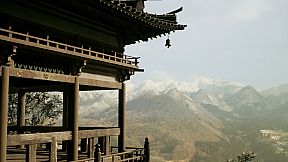 Lushfoil Photography Sim