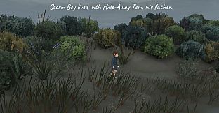 Storm Boy
