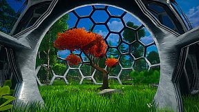 My Money Grows On Trees