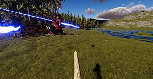 Broom Racer