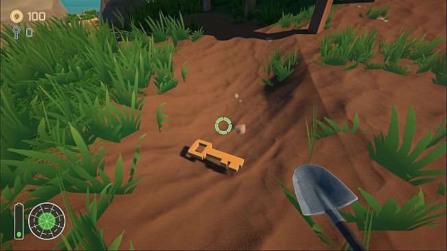 Tropical Treasure Hunt