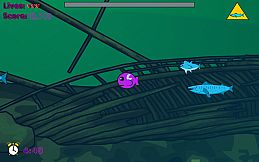 Noms the Fish