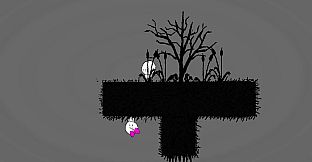 Him & Her Collection