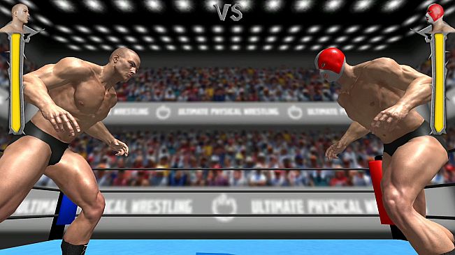 Ultimate Physical Wrestling