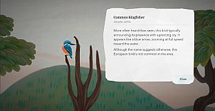 Junior Birder Adventure