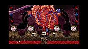 Crouching Pony Hidden Dragon