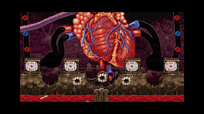 Crouching Pony Hidden Dragon