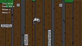 Climbing with Silly Cat