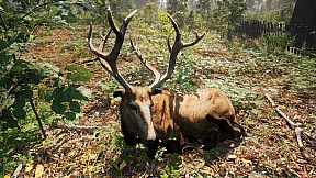 Russian Soul Simulator