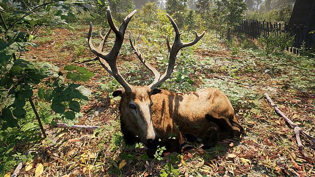 Russian Soul Simulator