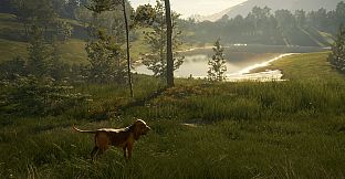 theHunter: Call of the Wild - Bloodhound