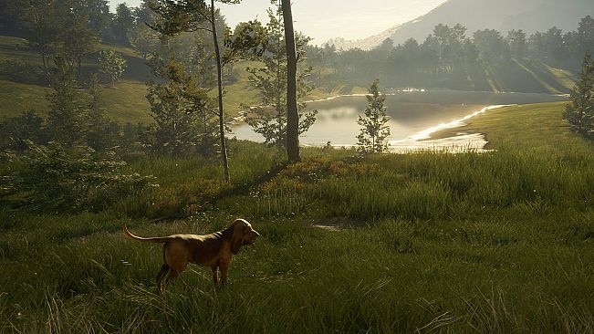 theHunter: Call of the Wild - Bloodhound