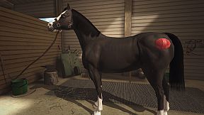 Riding Club Championships