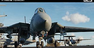 DCS: F-14A/B Tomcat by Heatblur Simulations