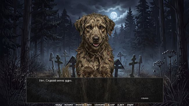 Visual Novel: Before the Dawn