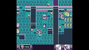 Toni Island Adventure