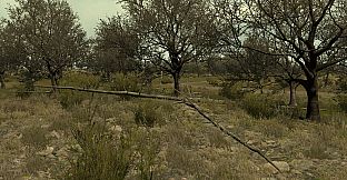 Arma 2: Private Military Company