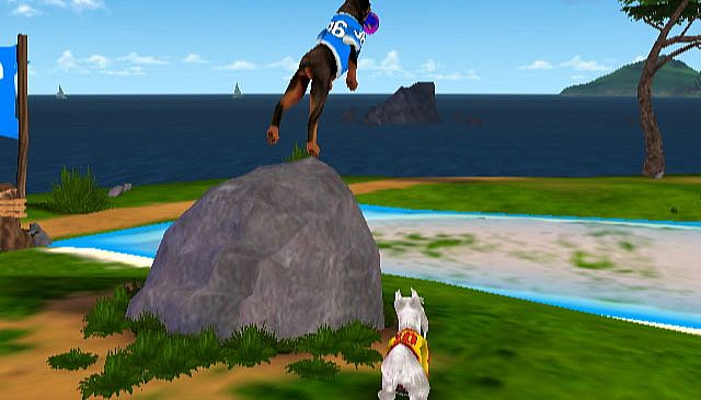 Jerry Rice & Nitus' Dog Football