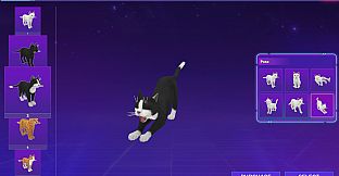 Chill Corner - Extras