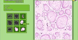 Animal Shelter - Vet Clinic DLC