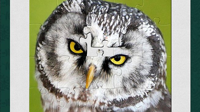 1001 Jigsaw. Earth Chronicles 6