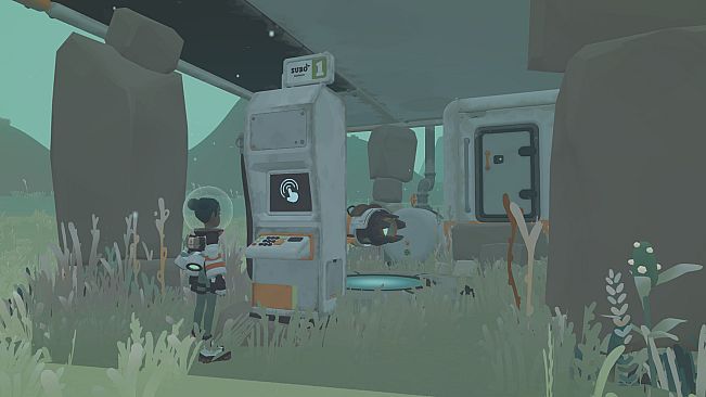 Space Vet