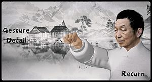 中国传统武术 八卦掌 六十四手 Chinese martial arts (kungfu) The 64 Hands of Bagua Zhang